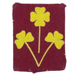 Ingame Shoulder Patch