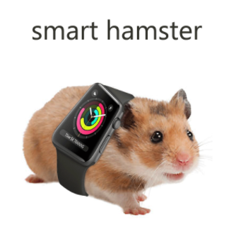 9435acc65b973631e3db00d449731db7.png