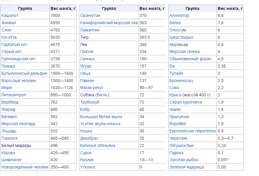 Сколько весят мозги. Коэффициент энцефализации. Коэффициент энцефализации человека. Вес мозга по странам. Энцефализация таблица.