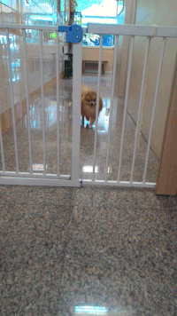 956ff92450287160d089b062d1b286a5.gif