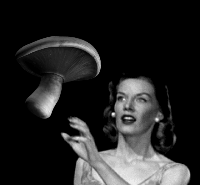 9579aad7e1ed7d1e0b881a9a77d0ab39.gif