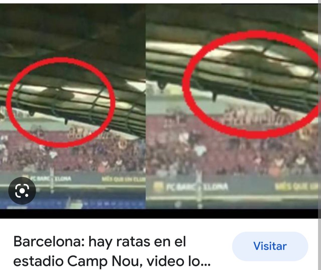 Echo de menos el campo de franco