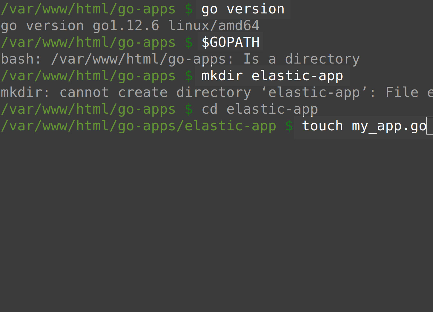 Terminal screenshot getting go version and $GOPATH to make an Elasticsearch project directory