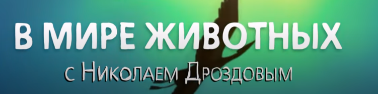 9730d3274a9d0a7aece1b38658c34339.png