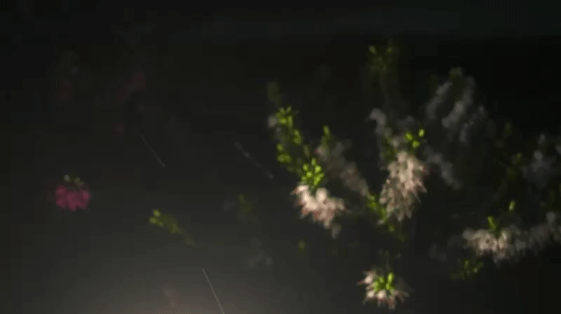 97b0005f92479893a9fc323a5a9bd07a.gif