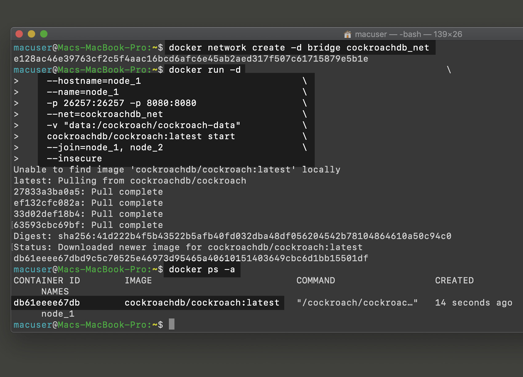Screenshot of Docker run in a UNIX terminal starting CockroachDB cluster