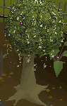 Skilling Guide: Woodcutting 98244581729ddf3c820fe3e3faf134cc