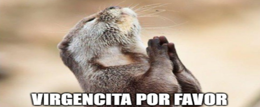 La reinfección por SARS-CoV-2: posibles ventajas y desventajas 1 982d9411bb53f90b861596bf44d5ab94