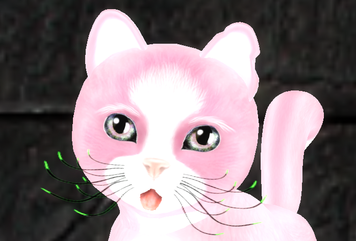 [Image: 986fe24ae26982307f515d5483735d55.png]