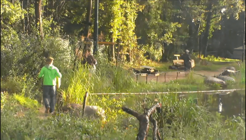 994e35368415a24649109b670355c5a7.gif