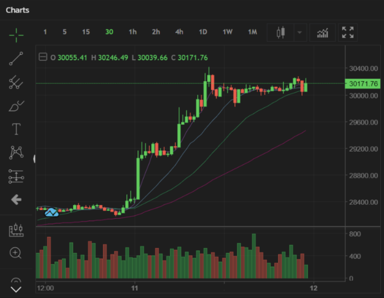 tradeview charts on bitforex 