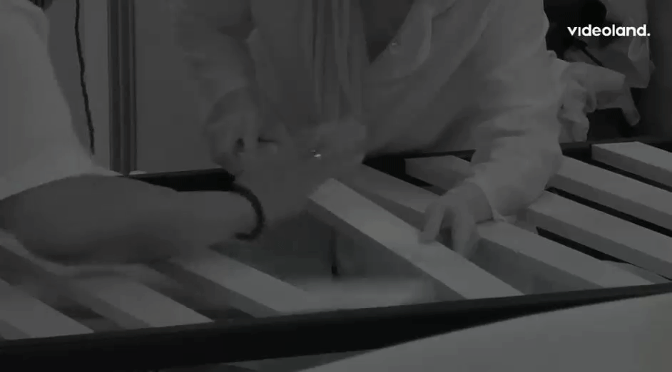 99fff5134b64959a2dbd247c1434fc2d.gif