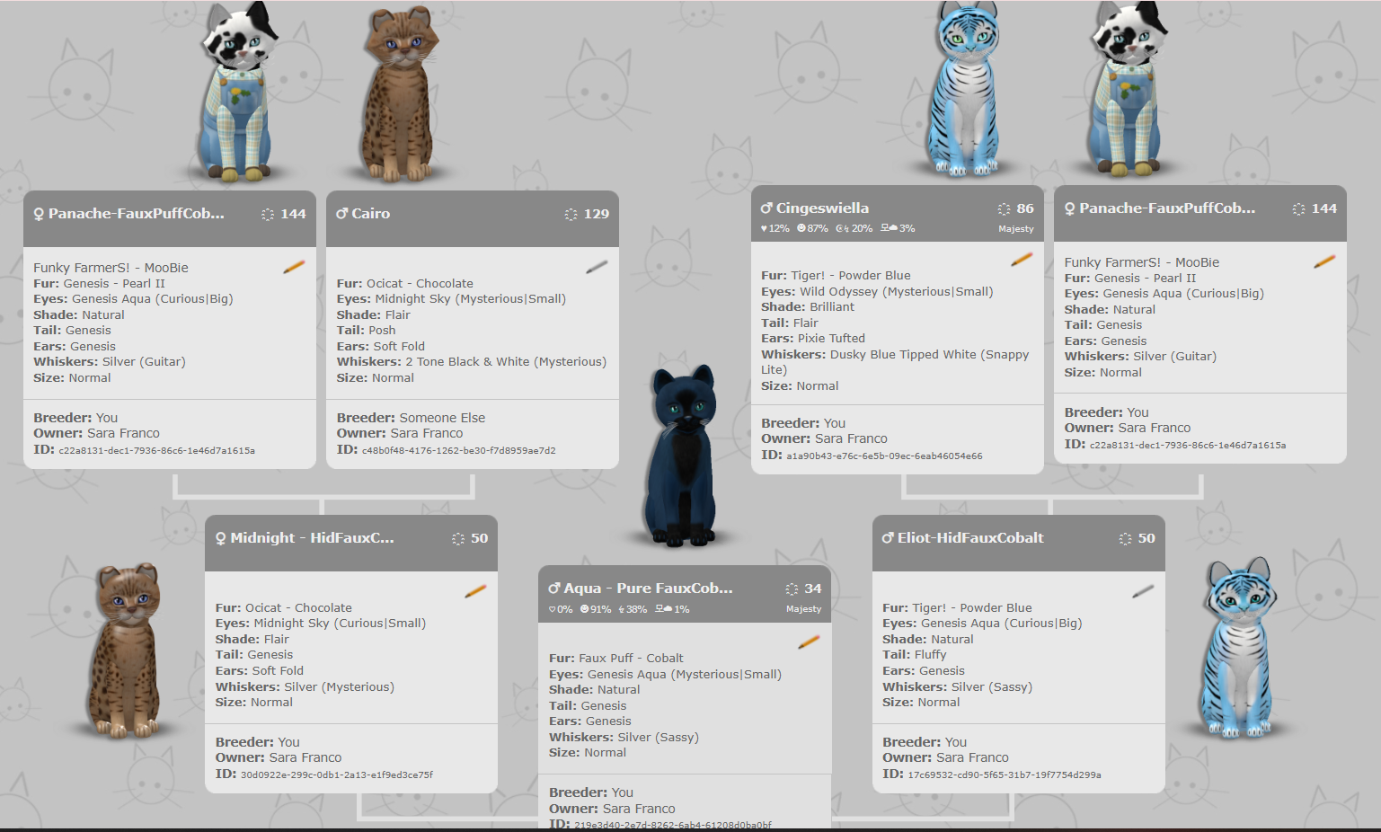 [Image: 9a53c8d064279f6cb24ed3f4689711ff.png]