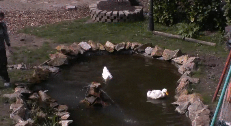 9a5533ab68b75fa05d36e026a51b3d9c.gif