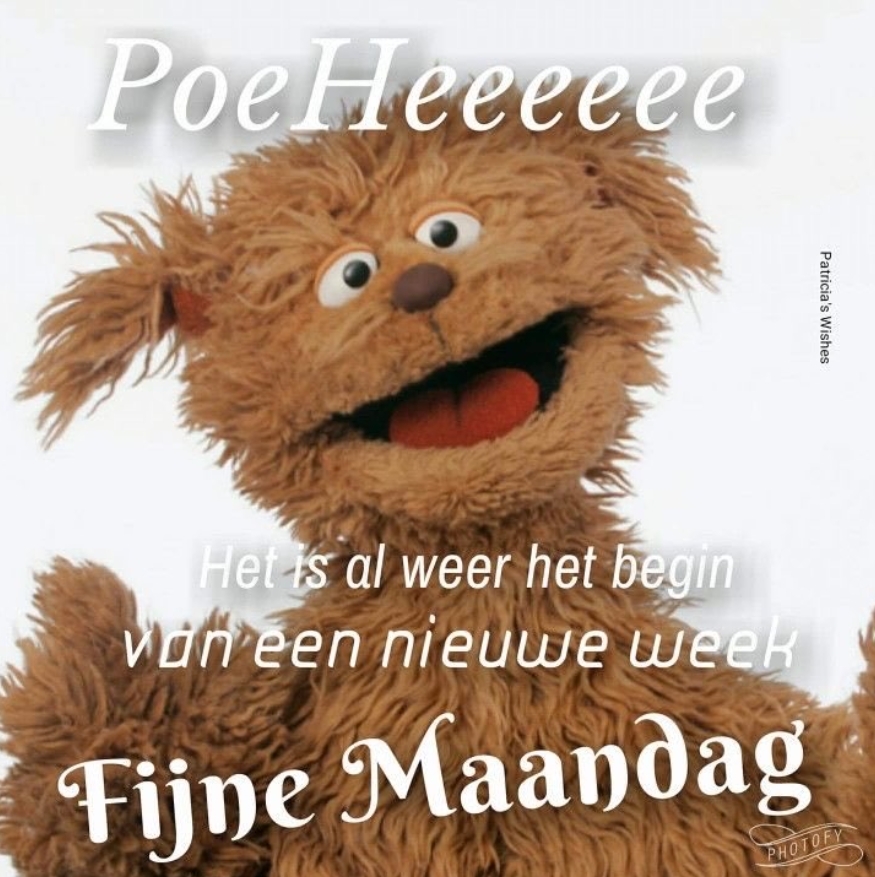 9ab5236485d345c60f311a1b1087d988.jpg