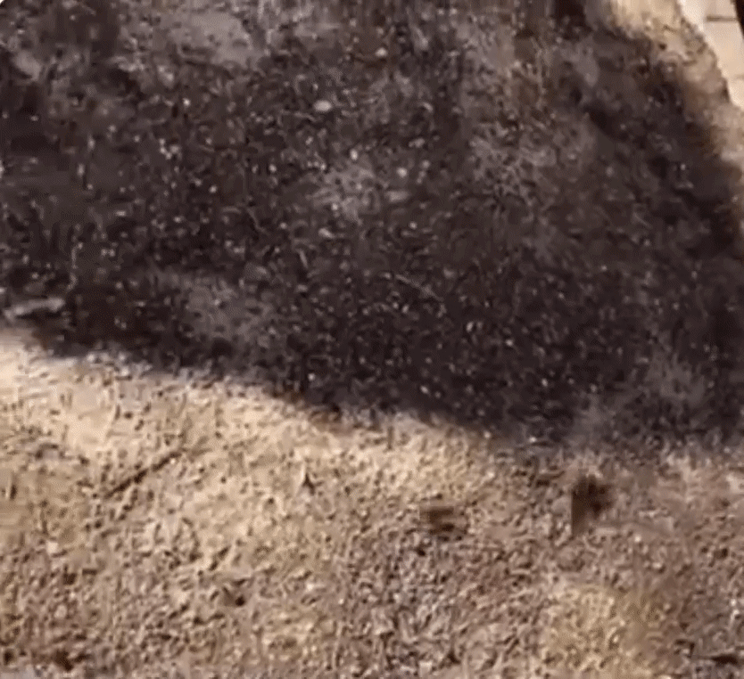 9b252da0341c2fc20f356e62fe85b595.gif