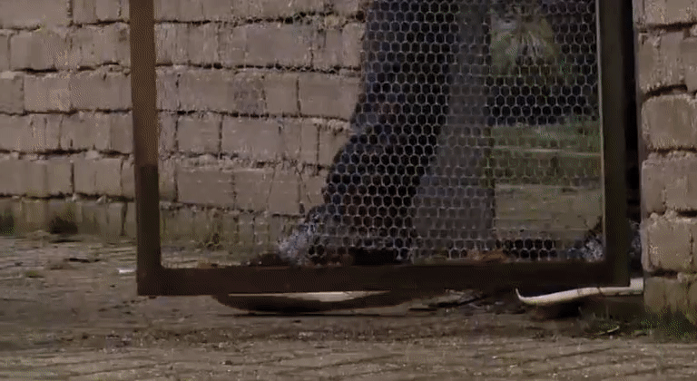 9b3df2ab8245f02764c6a72d47529c6c.gif