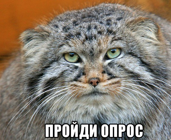 9b8383542937903d16d6bbbb6dc7ed29.png