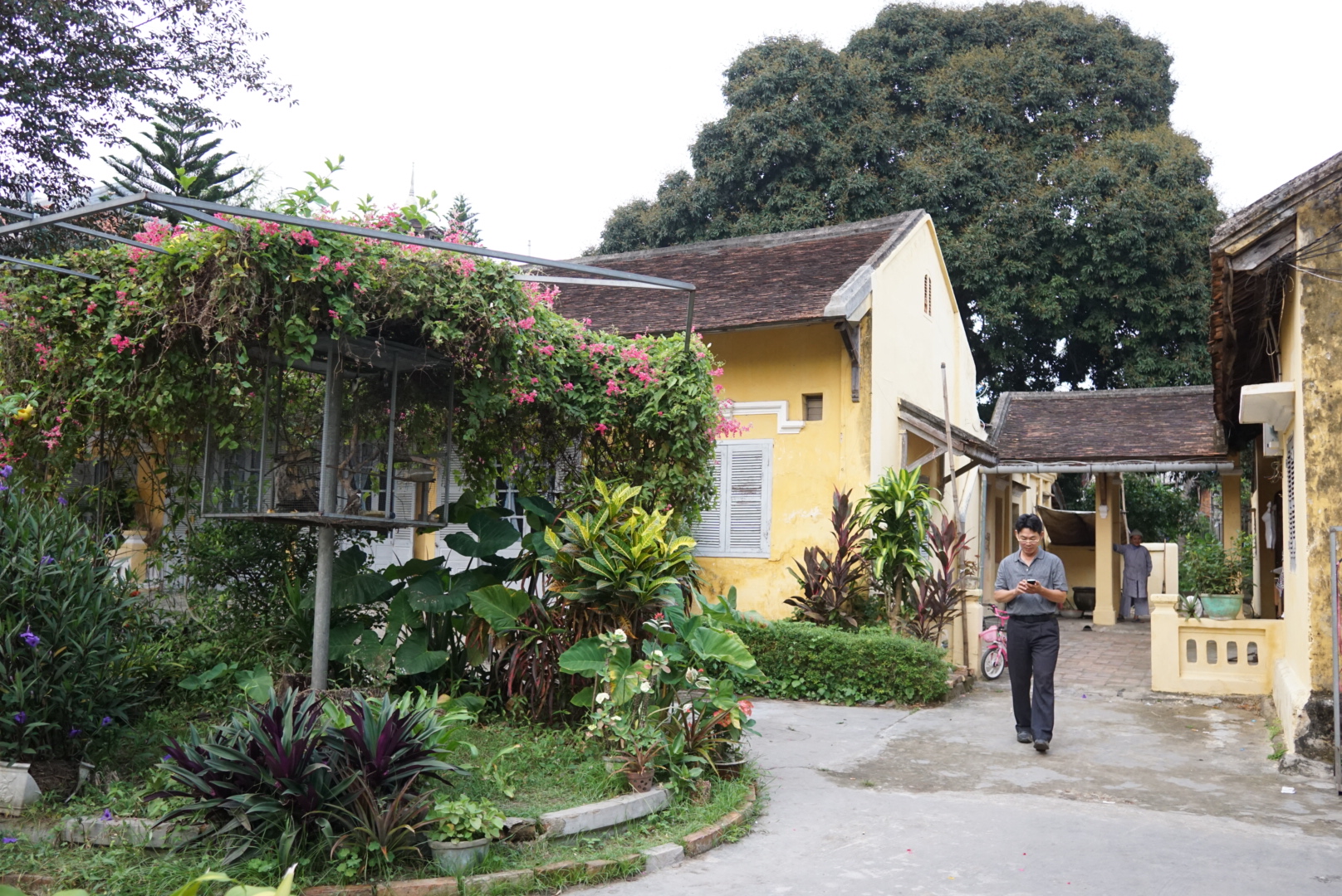 Hình ảnh