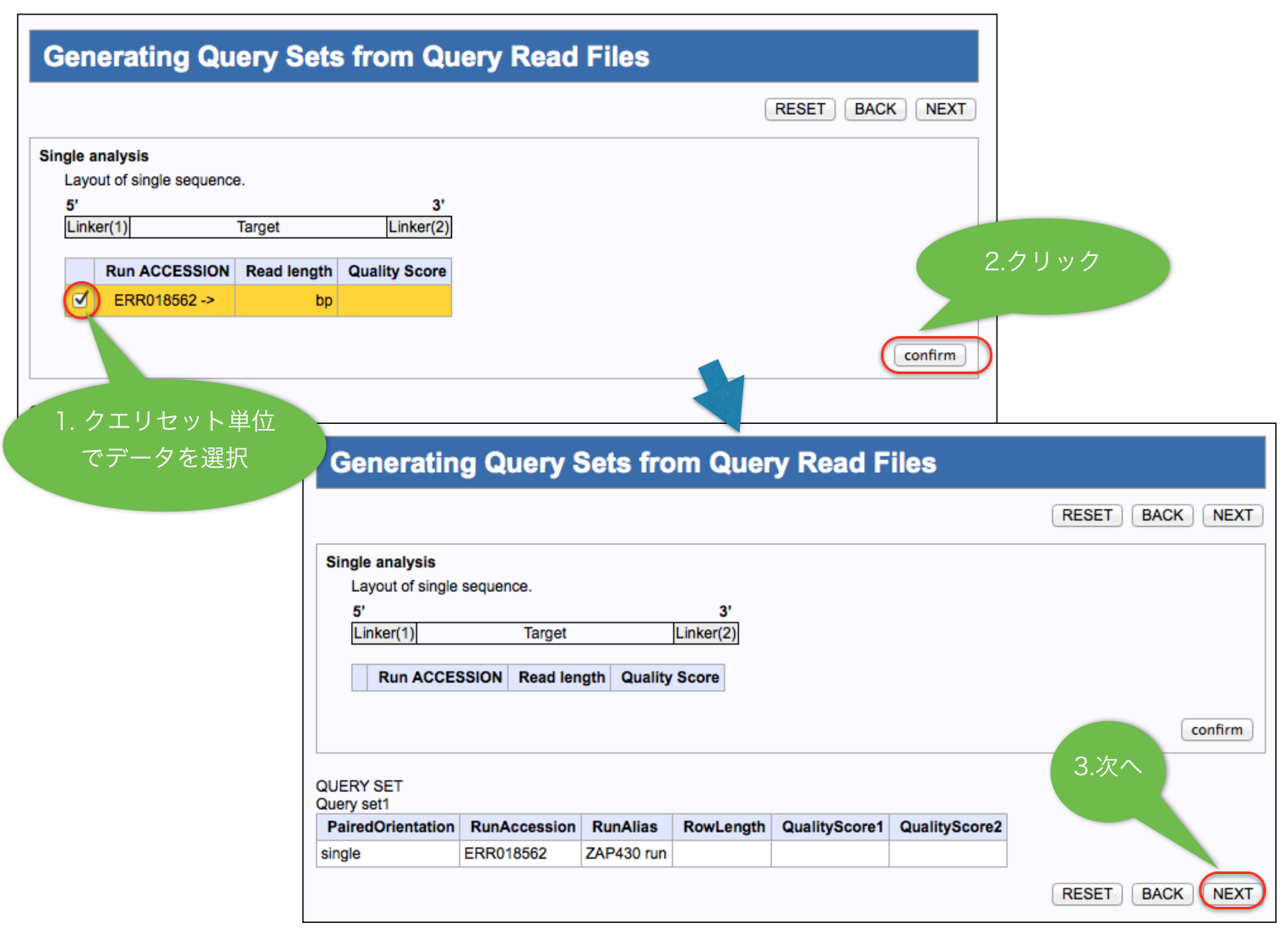 女性が立っておしっこするための紙製ロート。テンプレートをダウンロードしてください!