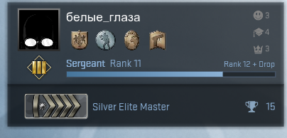 Silver elite master