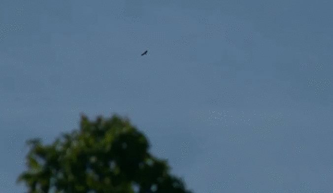 9cebd7bb9b98541e36eadb59eafc706a.gif