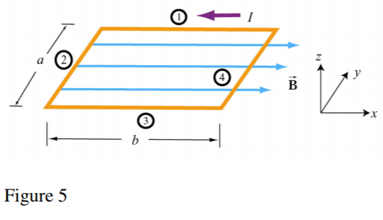 Solved Compute the torque on a rectangular loop carrying a | Chegg.com