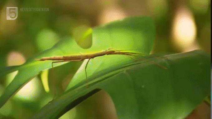 9d700eda2078d92c594578263ab659d4.gif