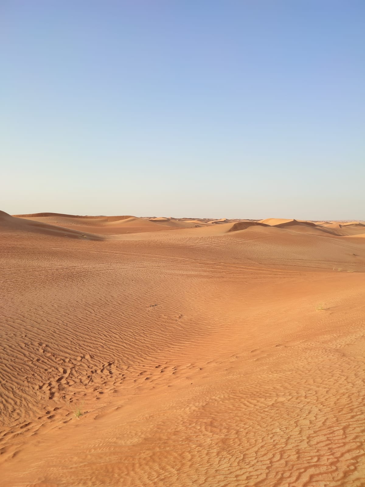9daea5558bb3df8f1901bf903b2e6e1b.jpg
