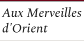 Aux merveilles d'Orient - Spécialiste du nettoyage et restauration de tapis Dijon (21)