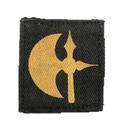 Ingame Shoulder Patch