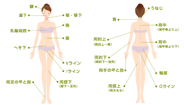 湘南美容クリニックの脱毛範囲画像 湘南美容クリニックの脱毛範囲画像