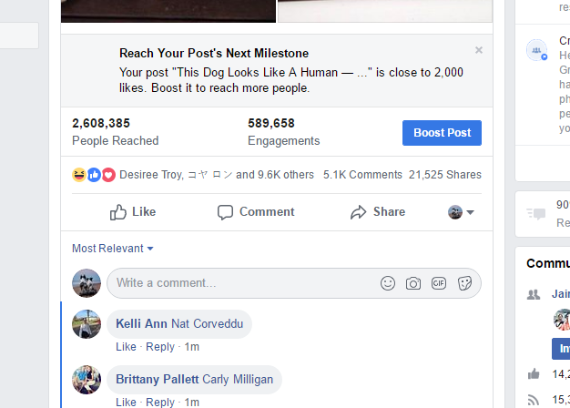 9ded09f71c0234e836add403d1e0473d.png