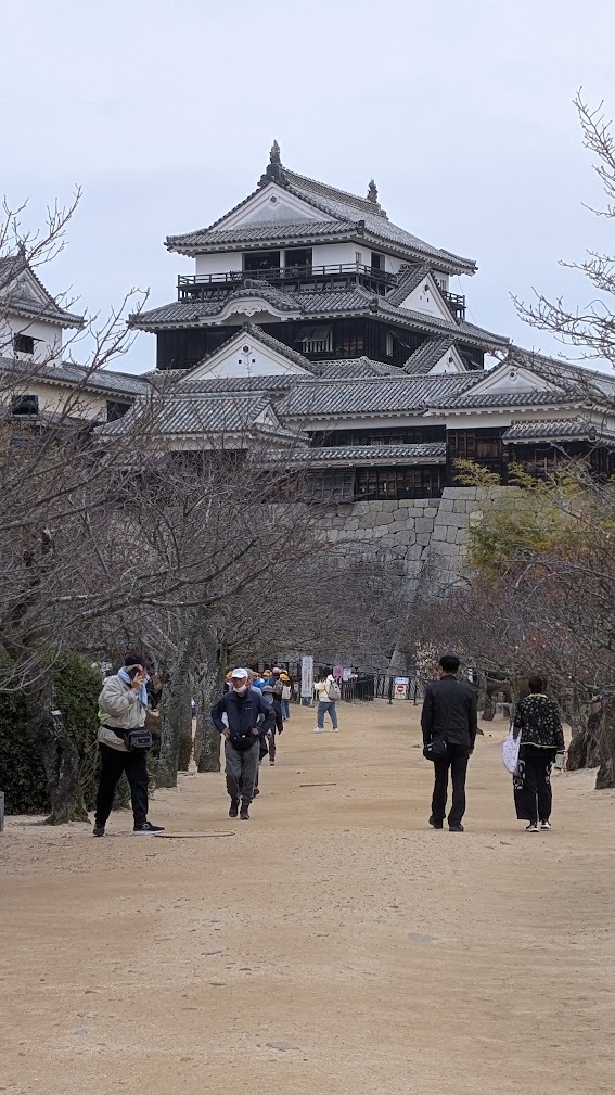 松山城の天守と梅の花