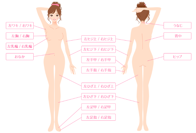 レジーナクリニックの脱毛範囲画像 レジーナクリニックの脱毛範囲画像