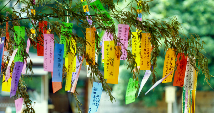 chuyện tình dang dở tanabata