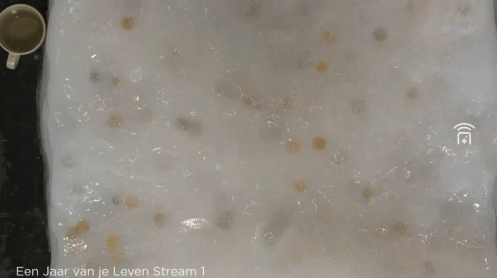 9fe05cec1a4dd75045813d083b321e03.gif