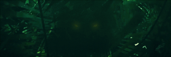 a072d99cdfd5d7dbb73cdd8ef48c4306.gif
