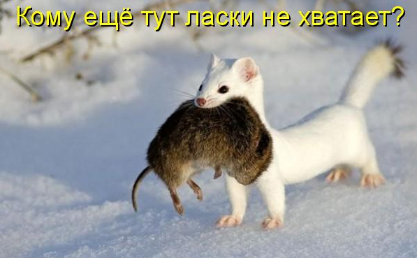 a0a254a29e6729f9a6d2dd533b87236c.png