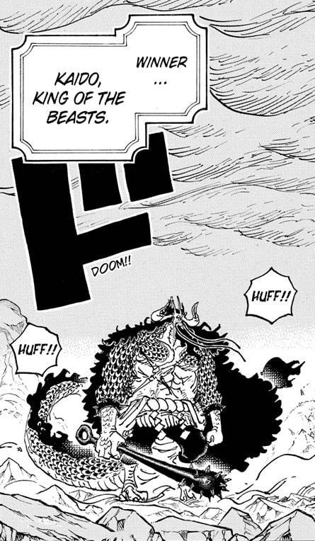 Kaido King Of The Beast