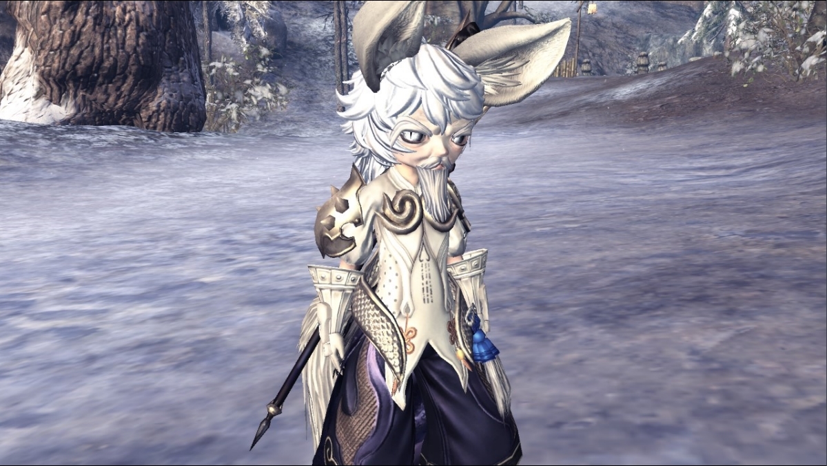 Show Off Your Custom Lyn Characters for Fun! : r/bladeandsoul