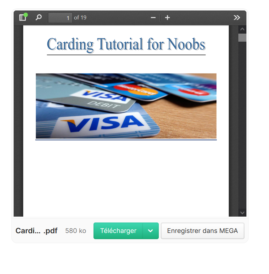Carding for Noobs 3$📕Fresh-Method✔️-High-Quality-PDF-✔️Latest-