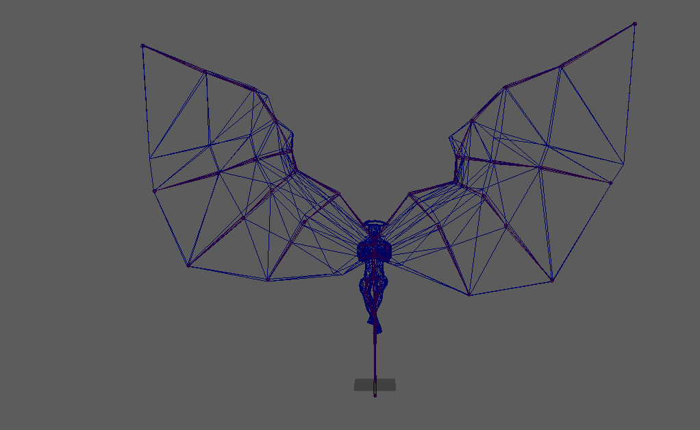 Character rig with tris and skeleton view