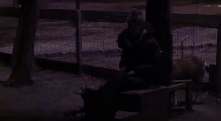a2636dfdbd556f0d94f54ffe315013a4.gif