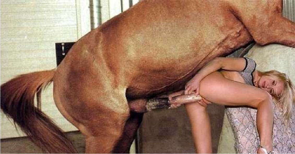 Donkey And Female Sex - Women sex with a donkey - Other - XXX photos