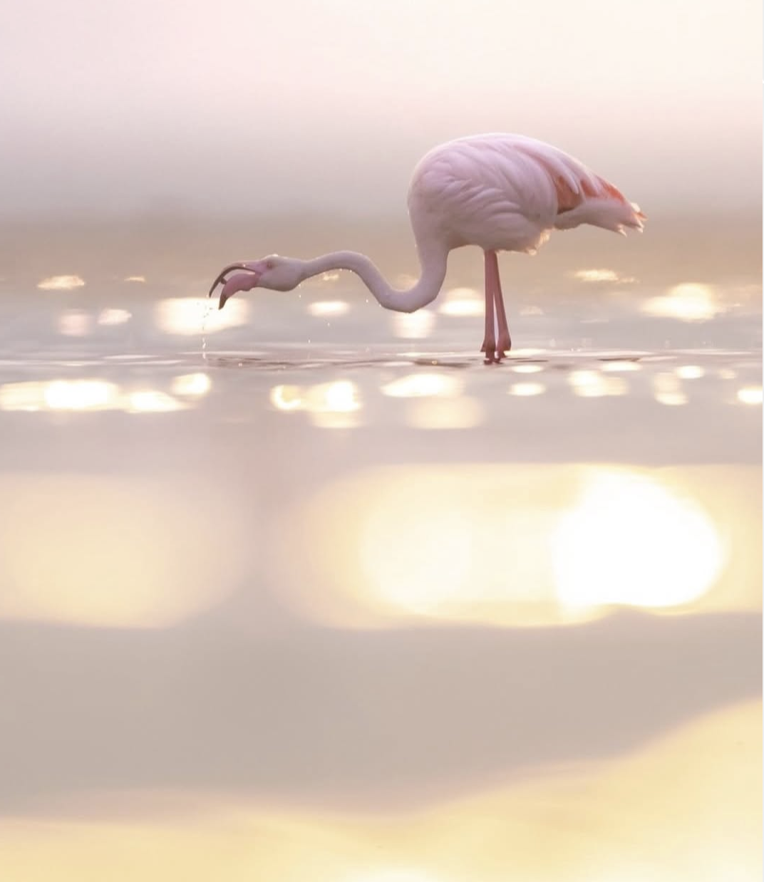a273e71ce58b377fd55829b8fa3cfad0.png