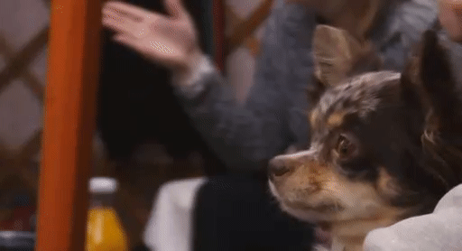 a2ae46698f0f41cbcd790b5d2e6b7618.gif