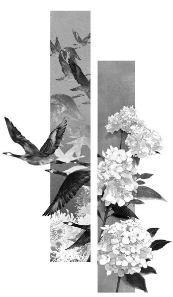 [Image: a38954c3a54217bc45cc85aee757e280.png]