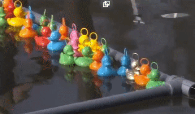 a3a1cc8638e4d783614db03d4e3b40ec.gif