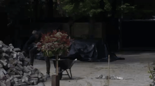 a447c668a00bb626da875b6f8bc058e0.gif